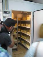 208. Die Käsesorten werden uns erklärt - Sizilien 10-17.5.15