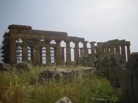 226. Selinunte - Sizilien 10-17.5.15