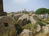 227. Selinunte - Sizilien 10-17.5.15
