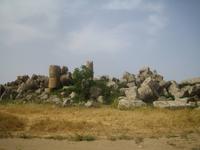 228. Selinunte - Sizilien 10-17.5.15