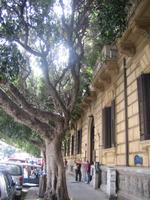 280. Geschäftsstraße in Palermo - Sizilien 10-17.5.15