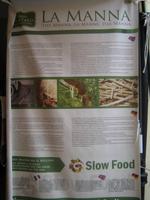 317. Das Manna der Esche - Sizilien 10-17.5.15