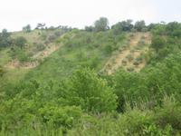 328. Blick von Gelso - Sizilien 10-17.5.15