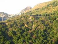 4. Die Berge bei Letojanni - Sizilien 10-17.5.15