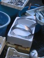 78. Im Fischmarkt - Sizilien 10-17.5.15