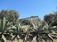 Tal der Tempel in Agrigent (Hera-Tempel)
