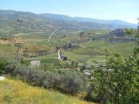 Umgebung von Sant´ Angelo Muxaro