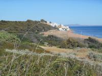 Blick von der Akropolis von Selinunte auf die Küste
