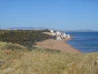 Blick von der Akropolis von Selinunte auf die Küste