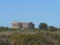 Blick von der Akropolis von Selinunte auf den Tempel E