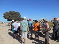 Rundgang in Selinunte