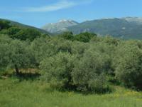 Fahrt durch das Madonie-Gebirge