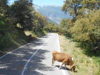 Fahrt durch das Madonie-Gebirge