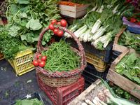 Fischmarkt La pescheria