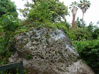 Syrakus- Archologische Zone