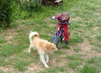 Farm, in Castellana Sicula, in der Madonie 