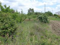 Farm, in Castellana Sicula, in der Madonie