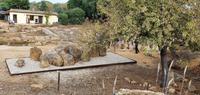 Agerigent-Tal der Tempel- Telamon vor dem Zeus-Tempel