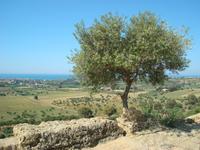 Agrigento