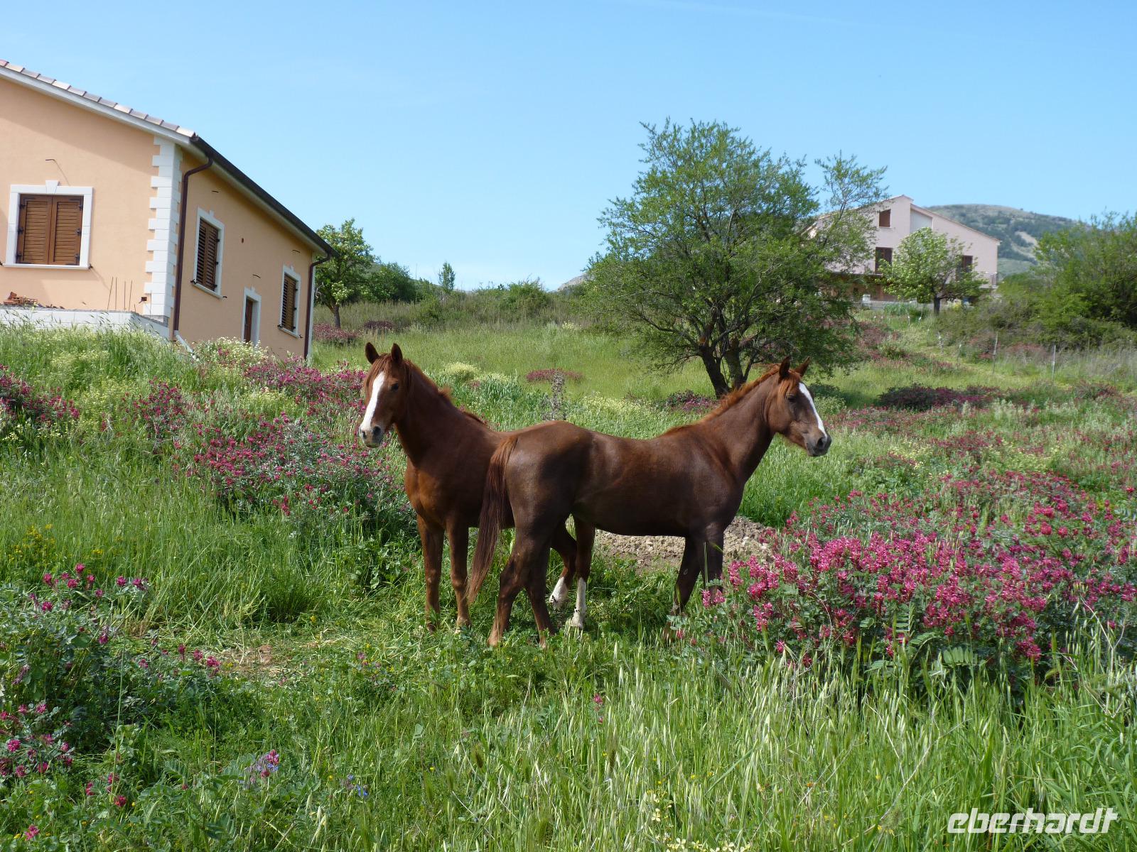 Agriturismo 