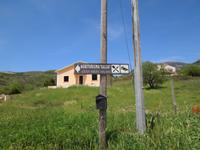 Agriturismo Gelso