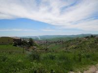 Agriturismo Gelso