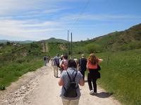 Agriturismo Gelso
