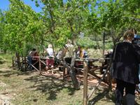 Agriturismo Gelso