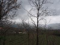 Alcantara-Tal