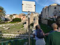 Apollotempel aus dem 6.Jh.vor Christus.