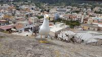 Besuch auf Lipari