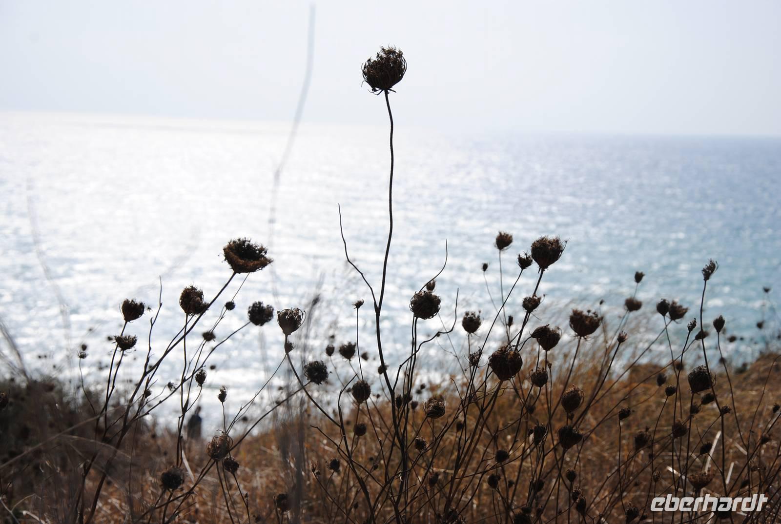 Blick auf das Meer von den Ausgrabungsstätten Selinunte
