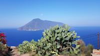 Blick zur Salina
