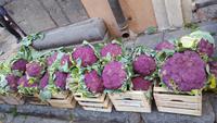 Blumenkohl vom Ätna