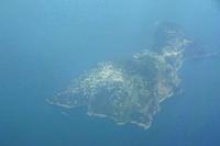 Capri