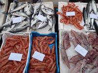 Catania Fischmarkt