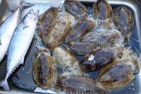 Catania Fischmarkt
