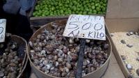 Catania, Stadtführung mit Simon,Besuch des Fisch-und Gemüsemarkts