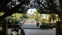 Catania