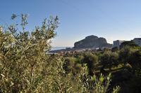 Cefalu