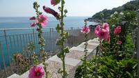 Cefalu