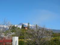 DSCN2375