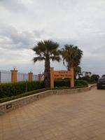 DSCN2517