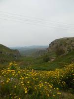 DSCN2571