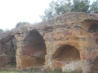 DSCN5515.JPG