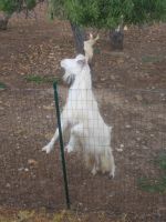 DSCN5522.JPG