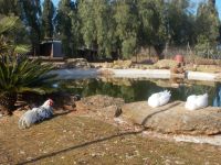 DSCN5533.JPG