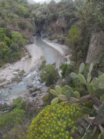 DSCN5631.JPG  Schlucht