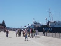 DSCN5709.JPG