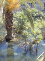 DSCN5718.JPG
